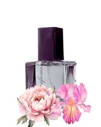 Perfumy francuskie  Nr 248 30ml inspirowane Emozione – Salvator Fera