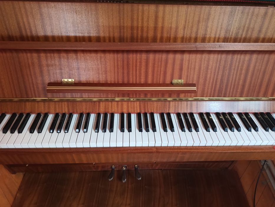 Pianino  CALISIA M-105