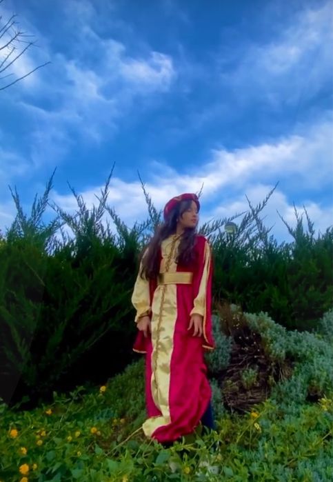 Fantasia princesa