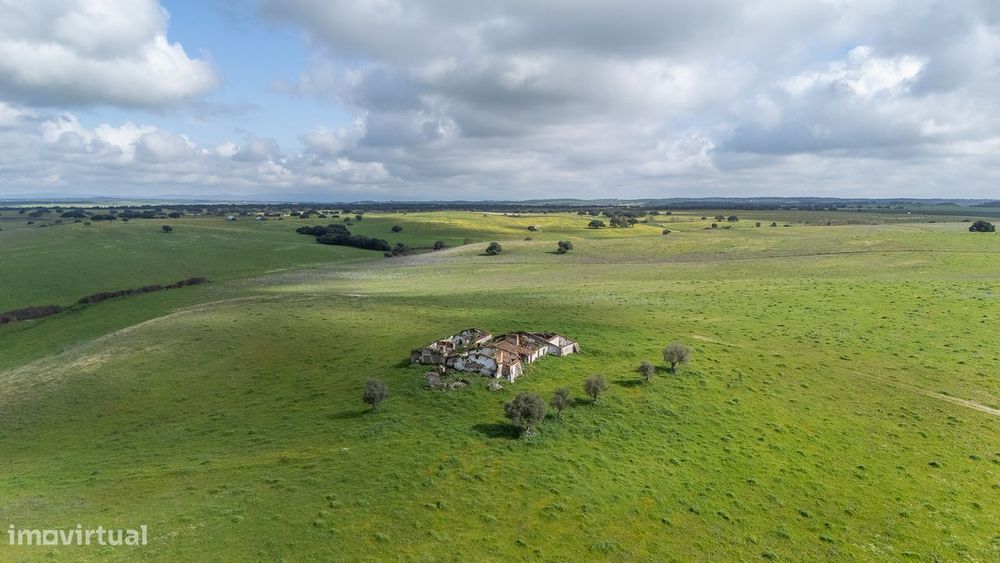 Herdade | Venda | Alentejo