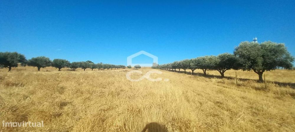 Terreno agrícola arvense com 2,850 Hectares