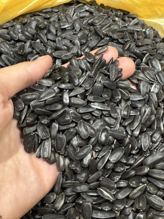 Насіння соняшника для смаження