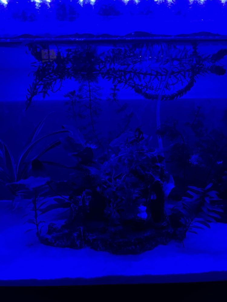 Luz para aquario 90 - 110 cm