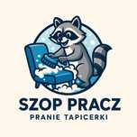 Pranie Czyszczenie Tapicerki Samochodowej Auto Detailing 7 dni w tyg