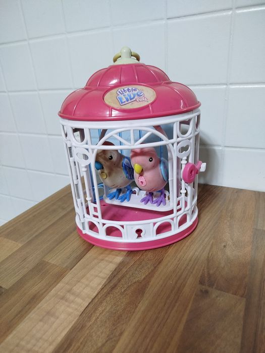 Little live pets ptaki rezerwacja