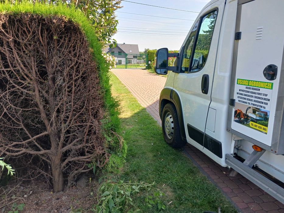 Wycinka drzew,usługi  Rębakiem