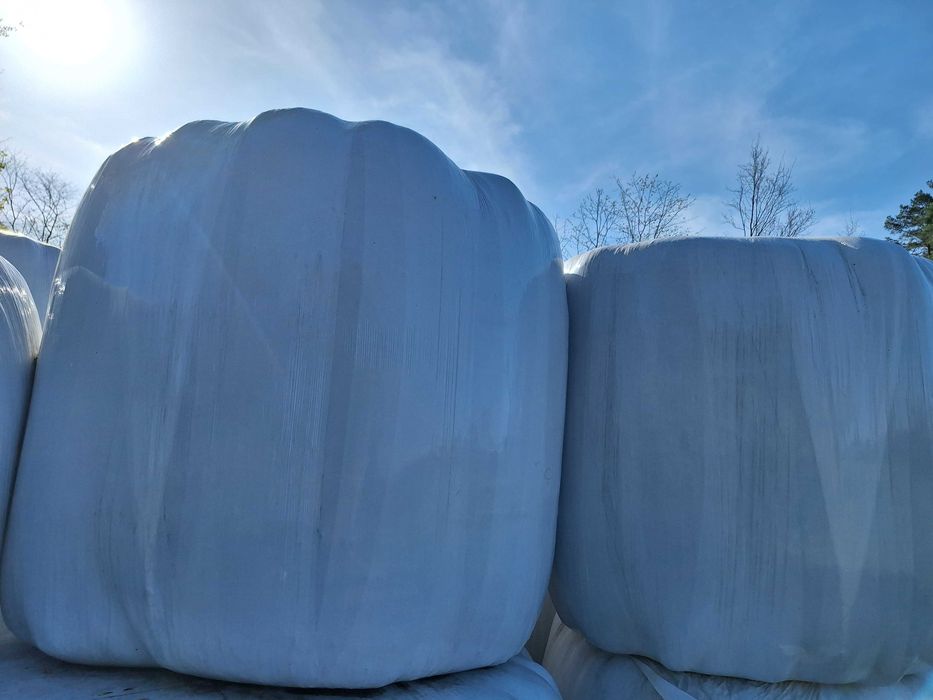 Sianoliszonka z traw oraz kiszonka z seradeli w baloty 120/130