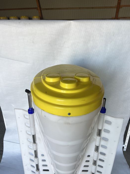 Годівниця для свиней на відгодівлі