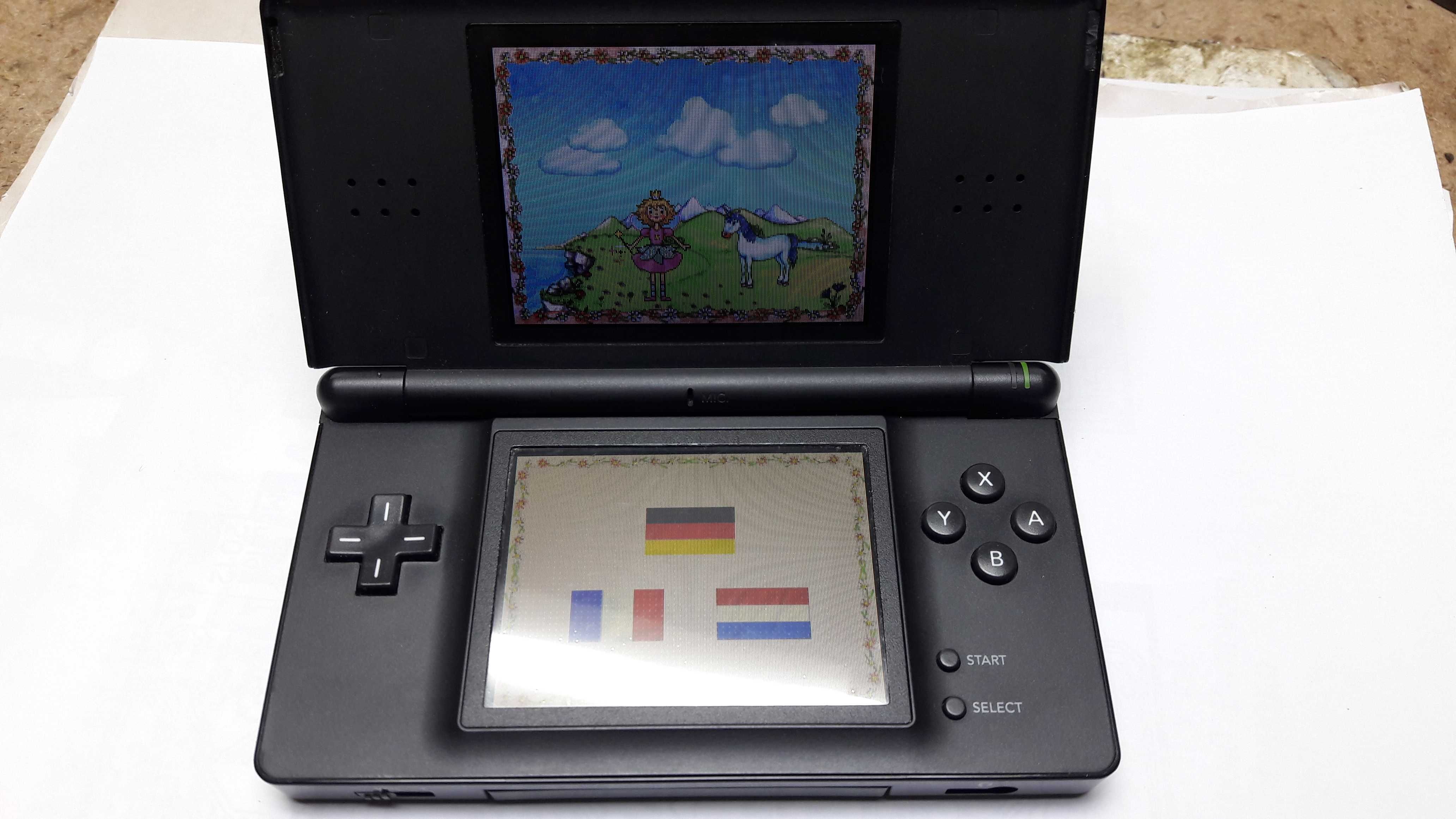 Nintendo DS Lite