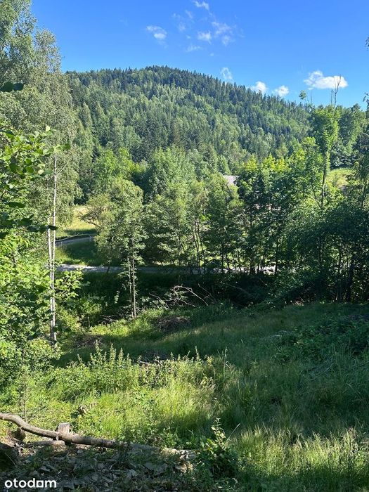 Twój azyl w górach nad potokiem – Zawoja Wełcza!