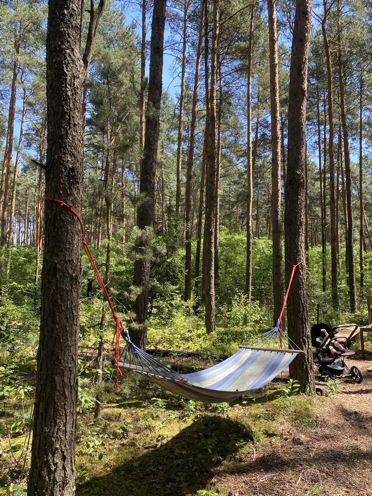 Odstąpie dzierżawe dzialki rekreacyjnej
