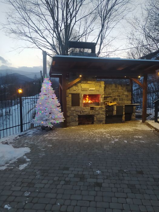 Котедж (Шале) Карпати Яремче