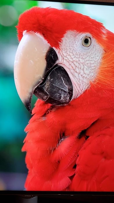 Телевізори від 19'до65' , зі смартом і без. З Німеччини