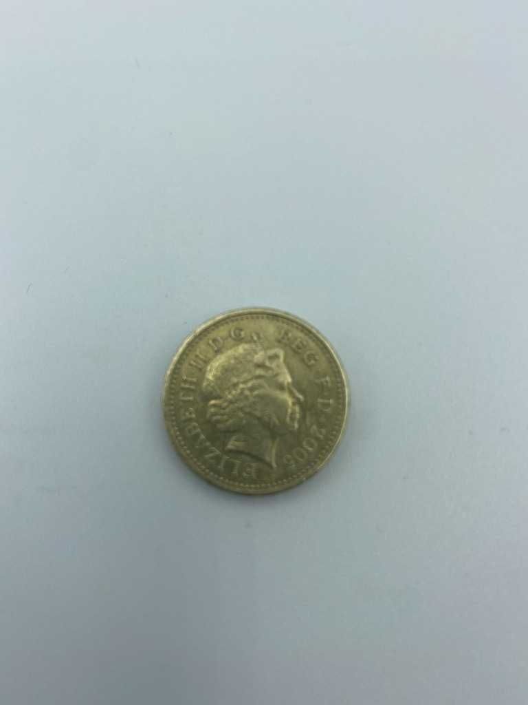 Moneta One Pound - Elizabeth II 2005 rok