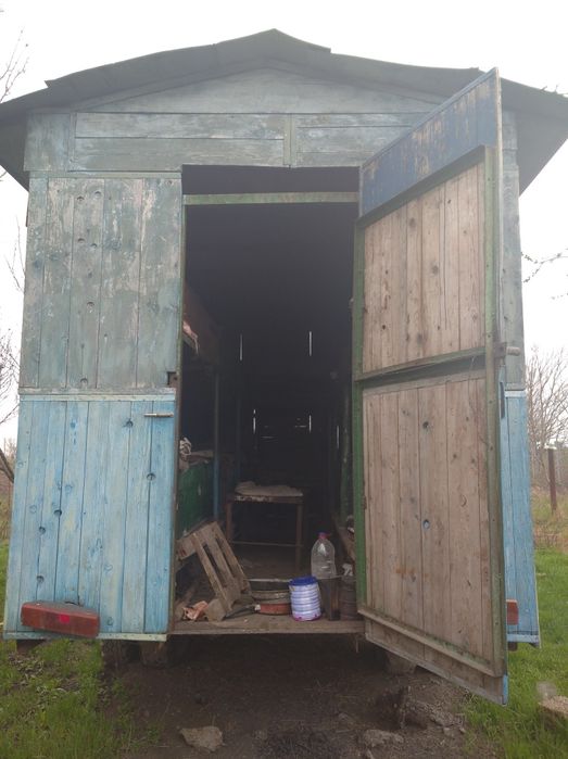 Пчелопавильон, пчёлы