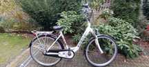 Rower  Giant gazelle inne