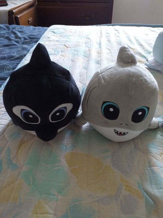 Animais dos oceanos