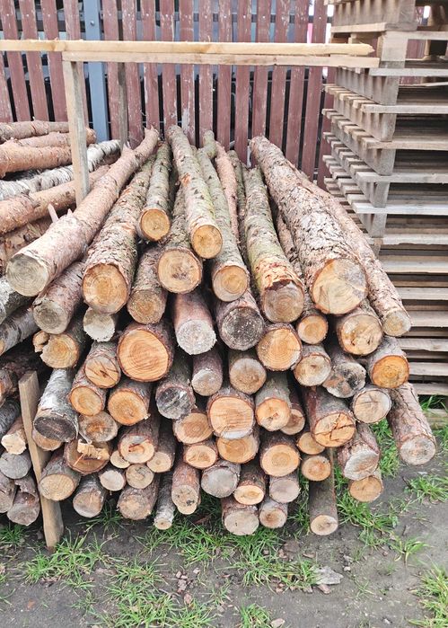 Stemple budowlane 300cm / 300szt