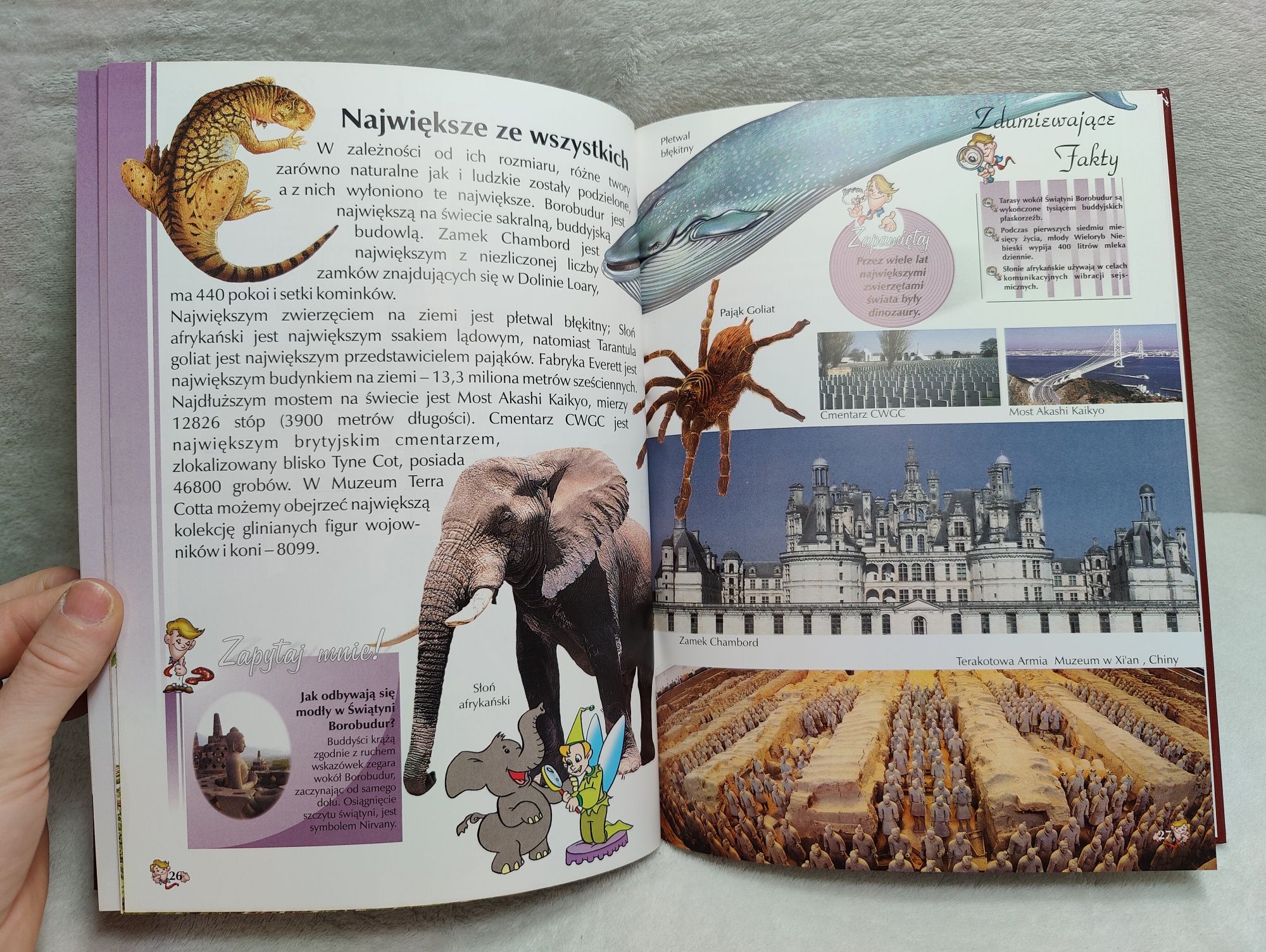 Książka ilustrowana encyklopedia dla dzieci - cuda świata