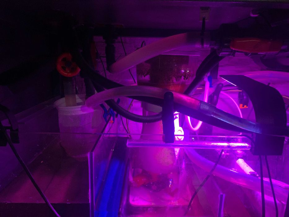 Akwarium morskie 500l optiwhite, szafka, sump, lampy, full osprzęt