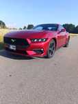 Ford Mustang Na sprzedaż: 2024 Ford Mustang – bordowy rock‑star na kołach!