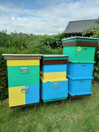 Продам вулики 10ти рамкові (Дадан) , суш, рамки медові, бджолосім'ї.