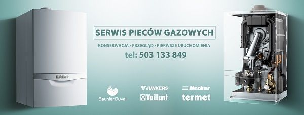 Naprawa piecyków gazowych. Serwis Vaillant Saunier Duval Junkers