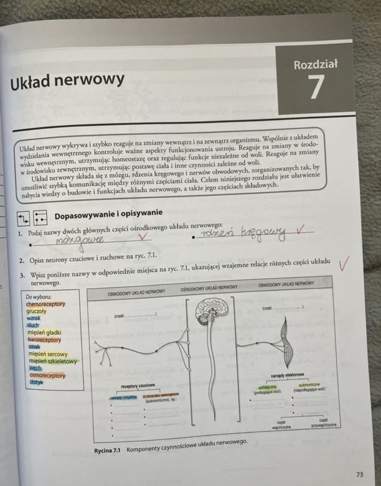 Konturek/ skrypty/ ćwiczenia fizjologia