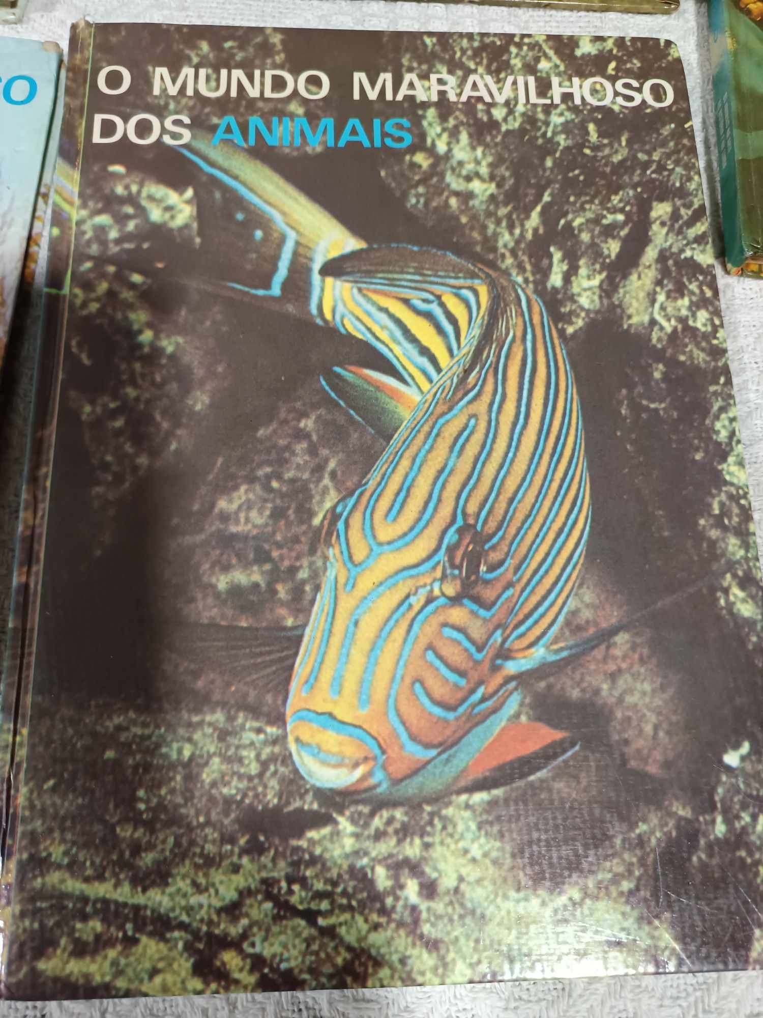 Colecção antiga  de  5 livros" o mundo maravilhoso dos animais"