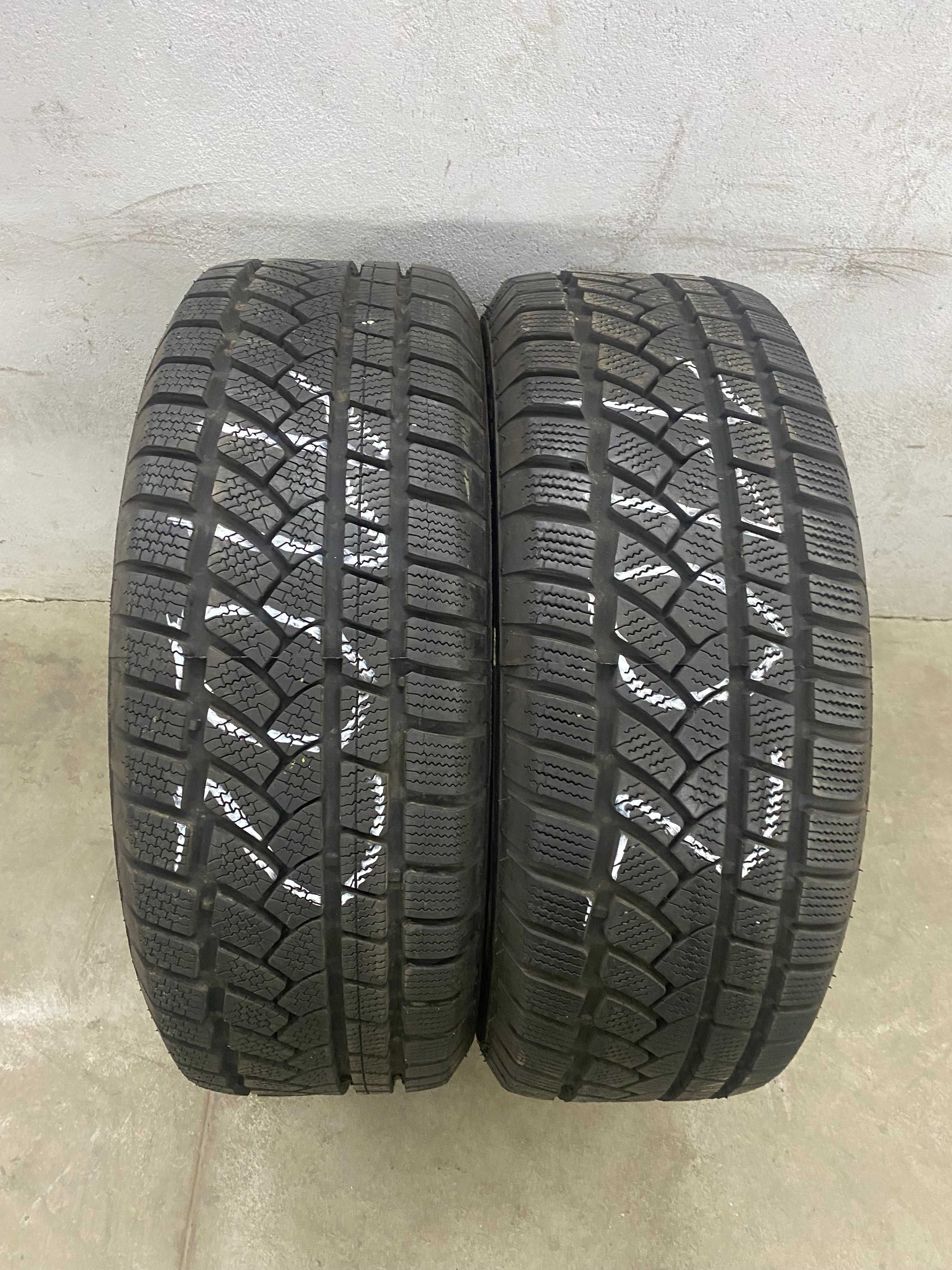 Prodil ProSnow 790 205/55R16 91H Nr 1102