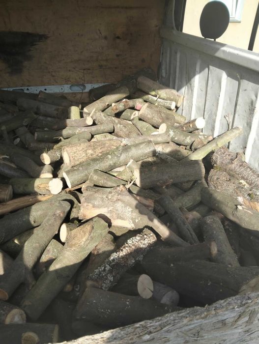 Drewno liściaste gałęziówka. gruba. kominkowe