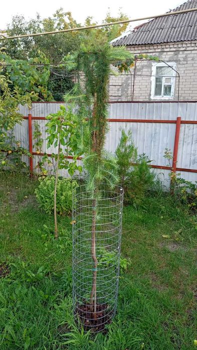 АН Продам будинок м. Павлоград