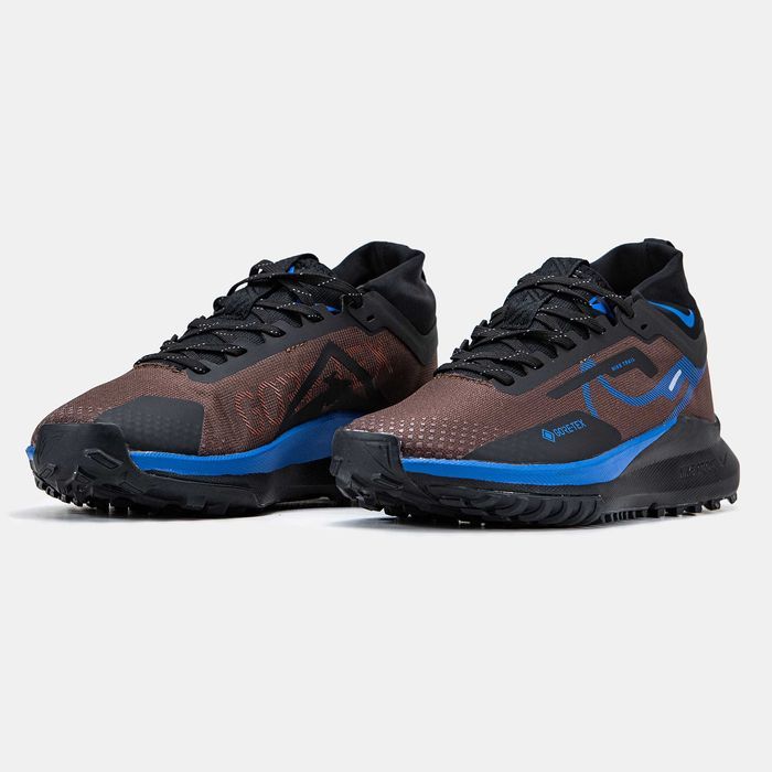 Кросівки Nike Pegasus Trail 4 Gore-Tex Premium Brown/Blue