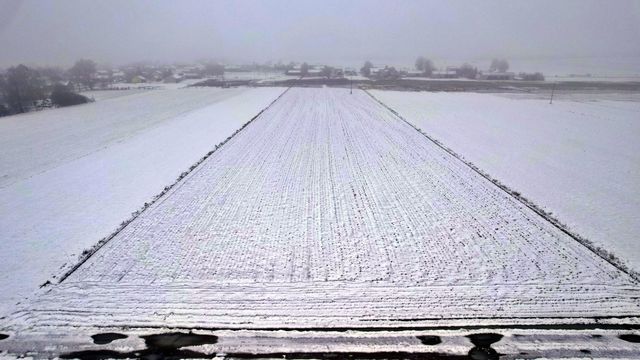 Sprzedam grunty rolne 2,02 Ha Rzęgnowo gm. Dzierzgowo