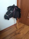 Koń na patyku, hobby horse