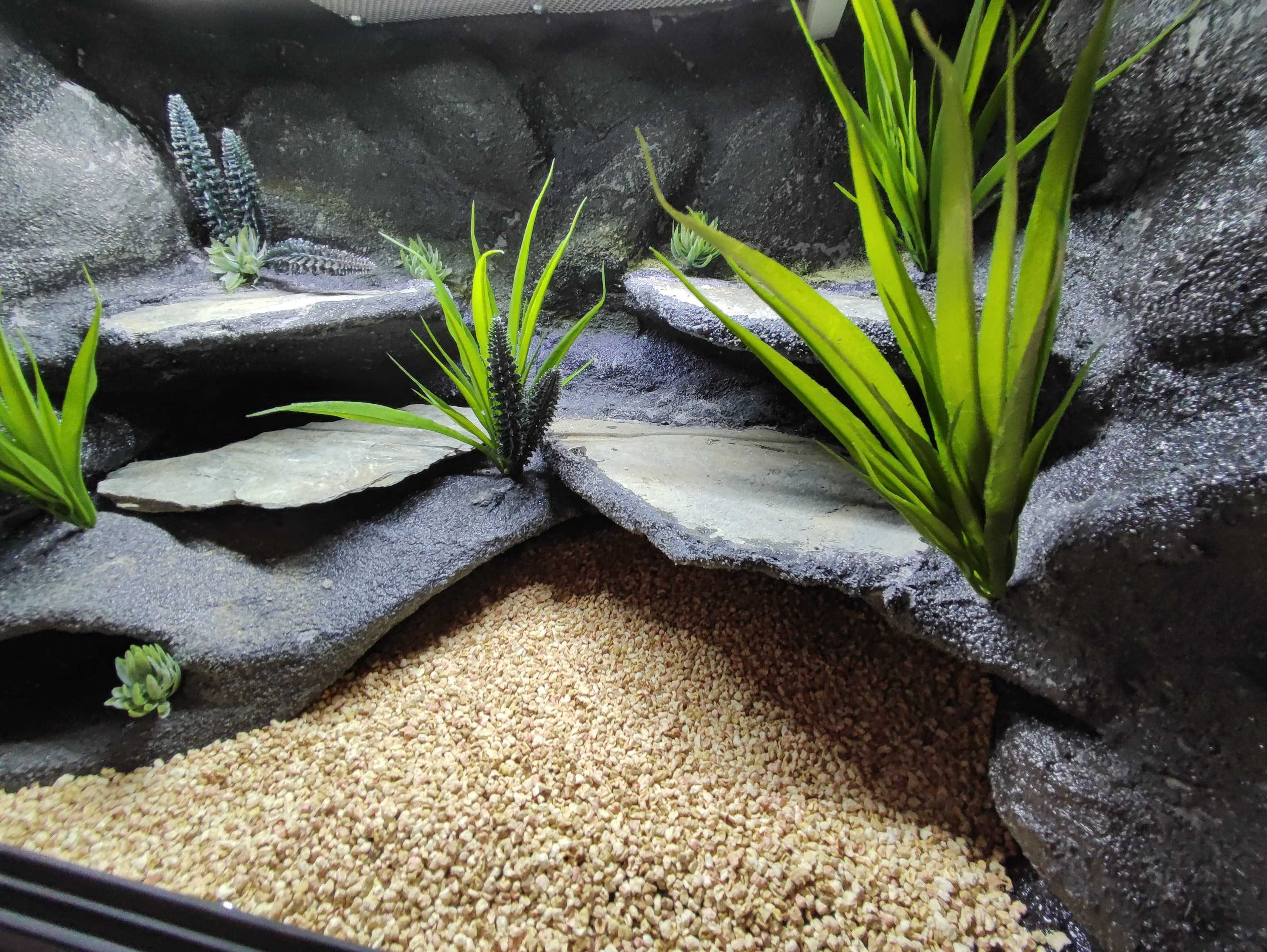 Terrarium pustynne nr710 60/40/40 dla gekona lamparciego DOSTĘPNE