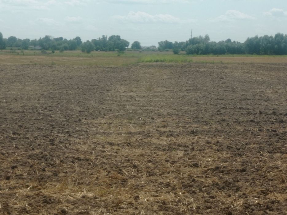 Продам участок под строительство с. Сеньковка