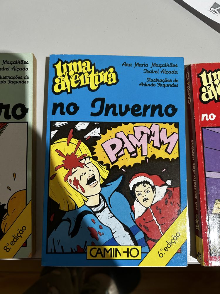 Livro Uma Aventura no Inverno