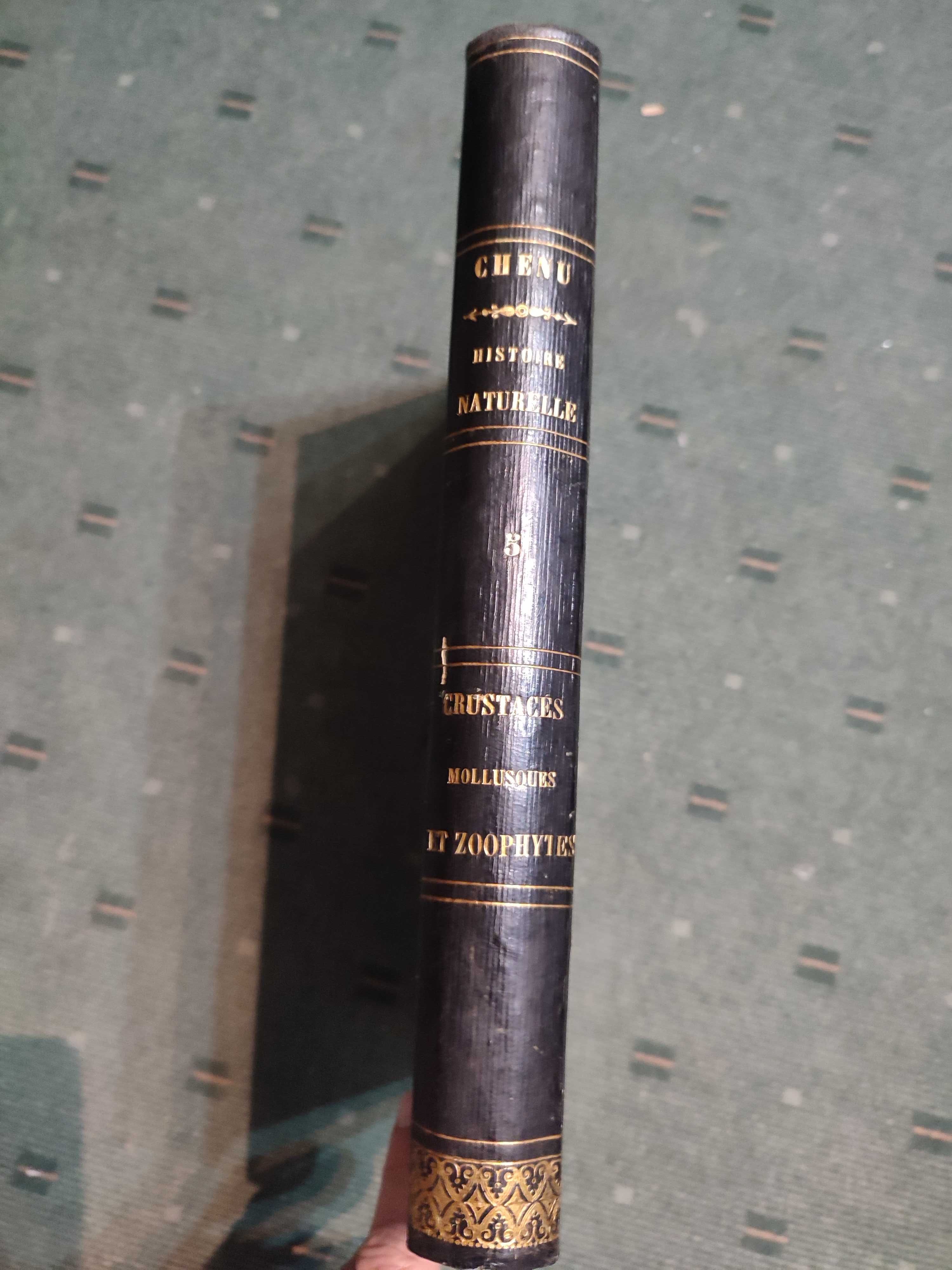 Encyclopédie D'Histoire Naturelle Traité Complet-Crustaces, Moll, Zoop