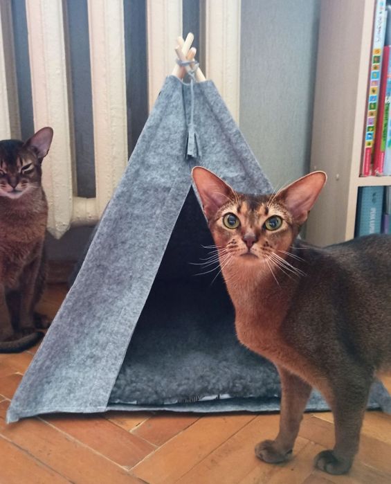 Домик вигвам, лежак, домик для кота, домик для собаки