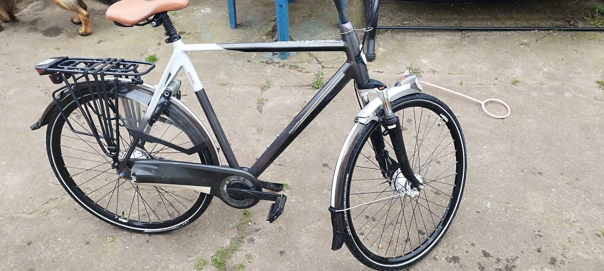 Gazelle eclipse limited edition
