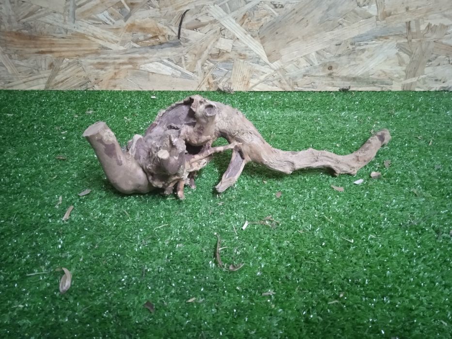 Korzeń do akwarium Red Moore Wood nr 749 o wymiarach 30/10/10