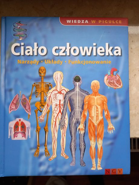 Ciało człowieka wiedza w pigułce