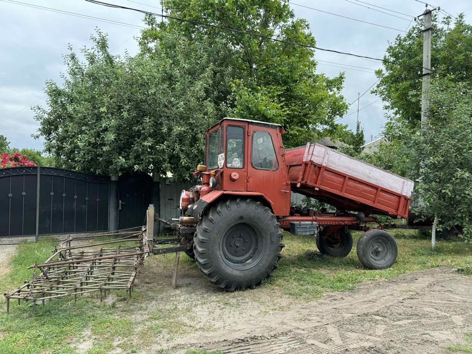 Продам трактор Т-16 ДВШ. Борони.
В робочому та хорошому стані.
Всі пит