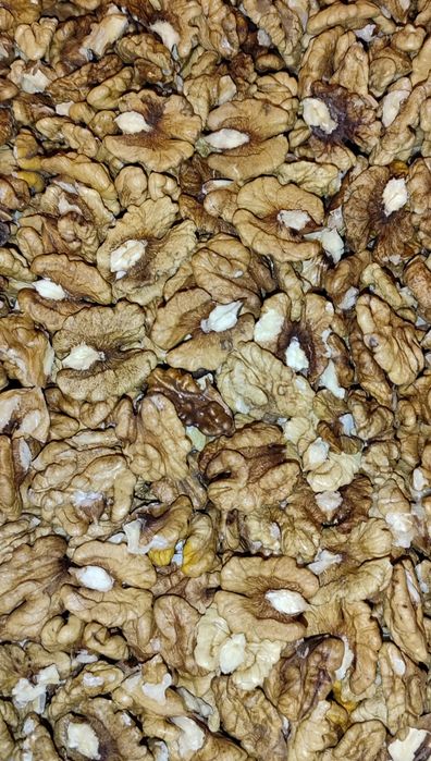 Волоські горіхи, метелик