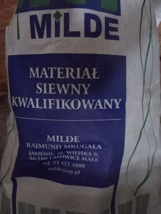 Groch ASTRONAUTE po kwalifikacie