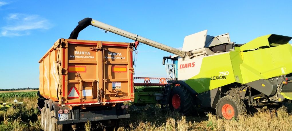 Usługa koszenia/zbioru  zboża, rzepaku, kukurydzy