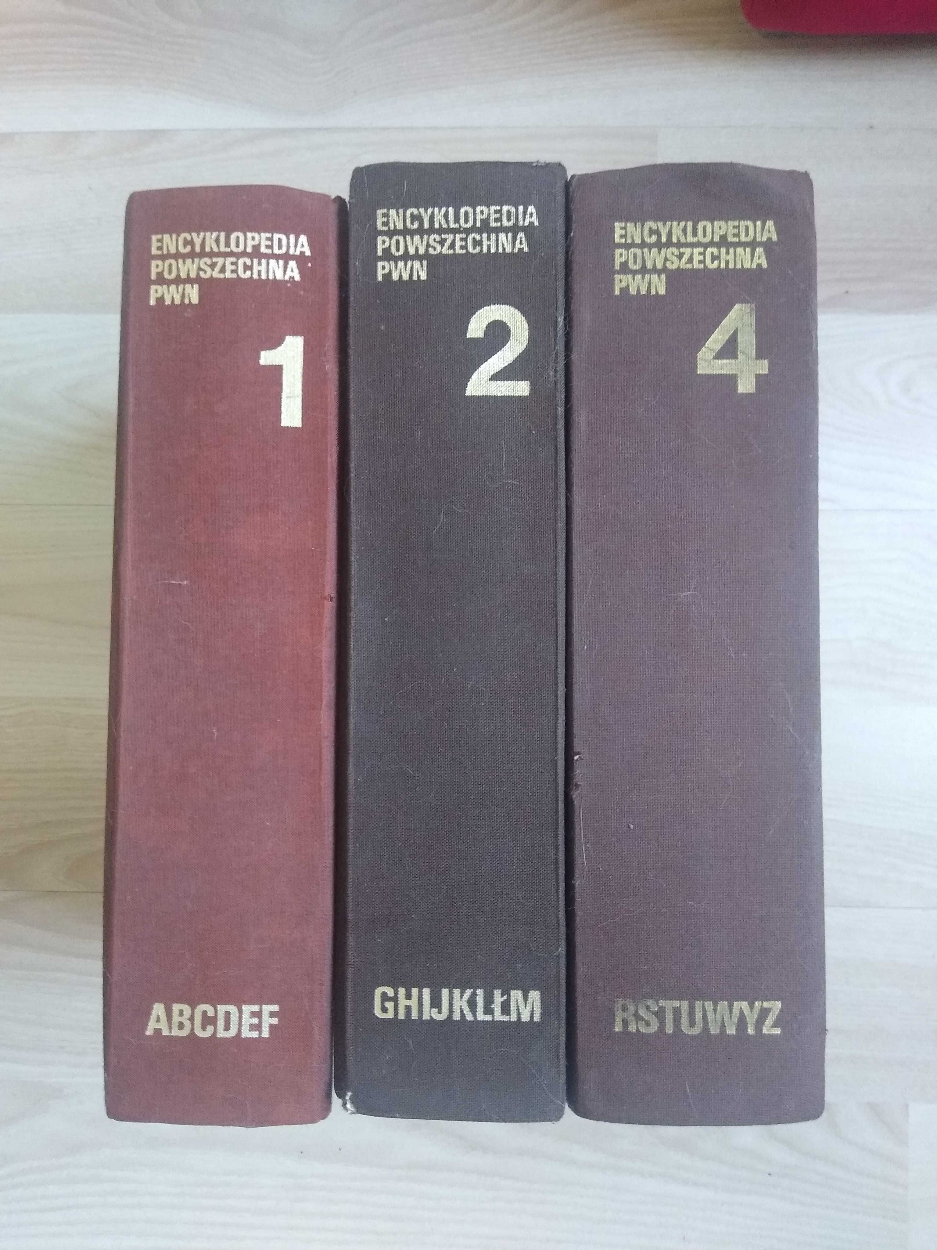 Encyklopedia pwn wydanie 3