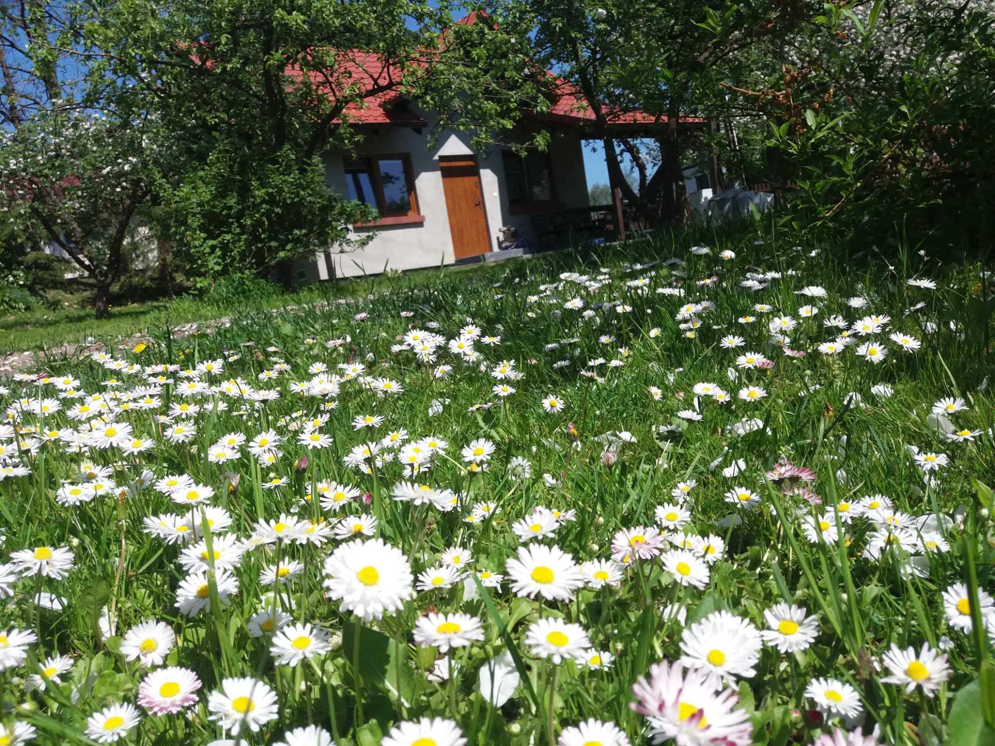 Domki nad jeziorem na Mazurach -agroturystyka cały rok