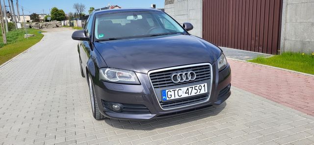 Audi A3 8P Sportback 2.0Disel 2010r Manual